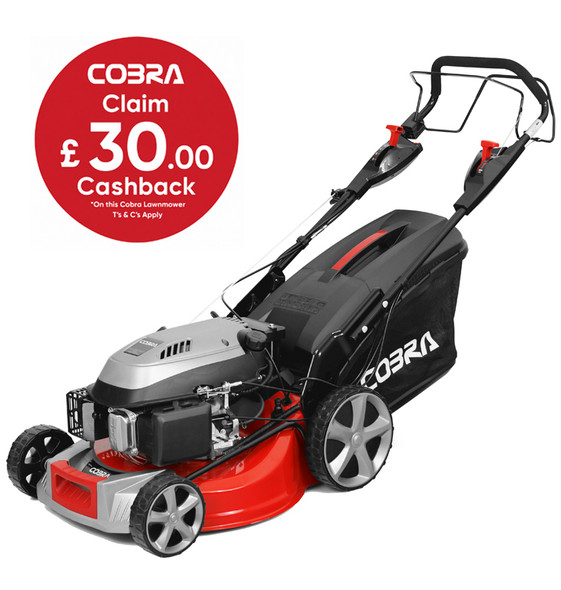 MX484SPCE Lawnmower