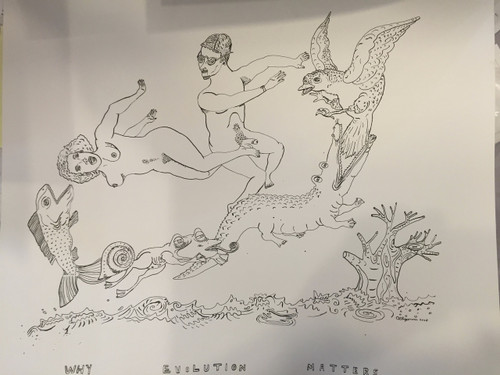 Tonel (Antonio Eligio Tonel),                                                             “Why Evolution Matters,” 2008. Ink on paper,            19” x 24”                       #6110