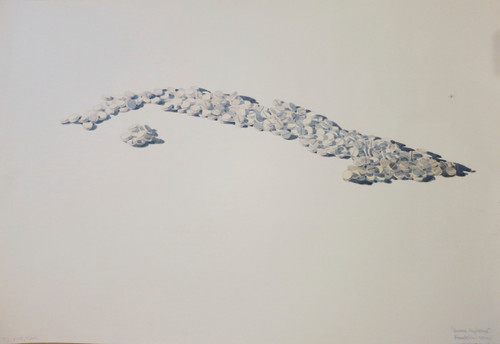 Franklin Alvarez #5619. "Some aspirins," 2012. Watercolor on paper.