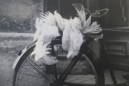 Pedro Abascal, Untitled, 1996. Edition 12 of 30. 11 x 14 inches. 