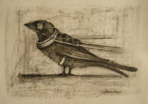 Villalvilla (Camilo Salvador Díaz de Villalvilla Soto)  Untitled, N.D. Charcoal on white paper. 19.5" x 17.5"   #6339 (SL).
