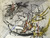Ivan Arocha #5256B. Untitled, 1996. Colored ink on paper. 20.5 x 24 inches.