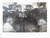 Pedro Abascal, la Habana, 1991. Edition 23 of 30. 11 x 14 inches