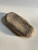 Elsa Mora, "Soundless," 2023. Ceramic. 1.25"H x 6"W x 3"D. #5486C