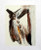Lescay (Alberto Lescay Merencio) #6250. "Pajaro," N.D. Serigraph print. 16.5 x 13 inches. 