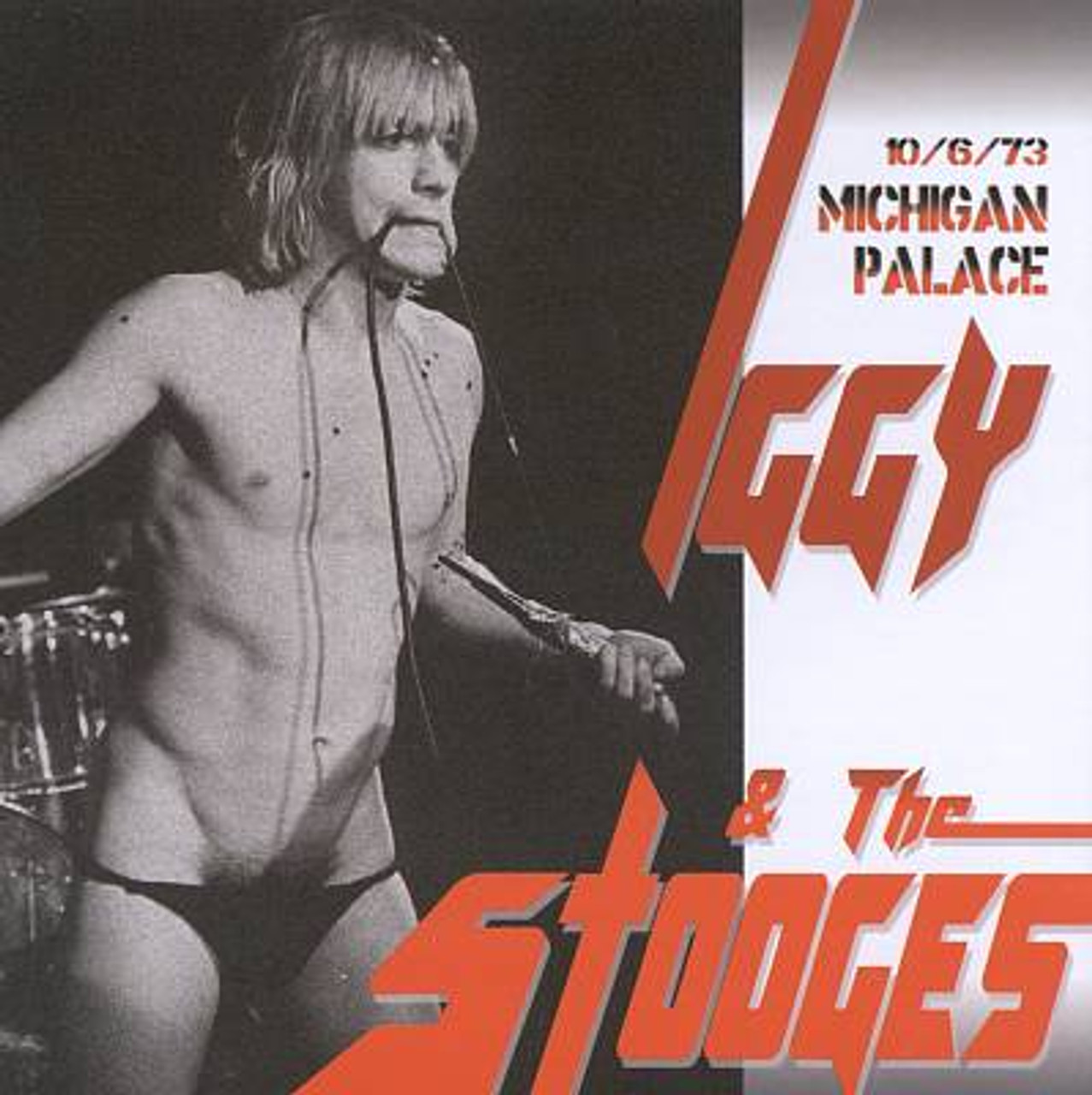 IGGY POP & the STOOGES - Michigan Palace 1973 LAST COPIES