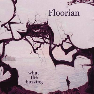 FLOORIAN -BRIAN JONESTOWN MASSACRE RELATED-PSYCH SPACE ROCK  -LAST COPIES! CD FLOORIAN -BRIAN JONESTOWN MASSACRE RELATED-PSYCH SPACE ROCK  -LAST COPIES! CD