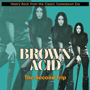 BROWN ACID - THE SECOND TRIP (60S & 70s RARITIES) COMP CD BROWN ACID - THE SECOND TRIP (60S & 70s RARITIES) COMP CD