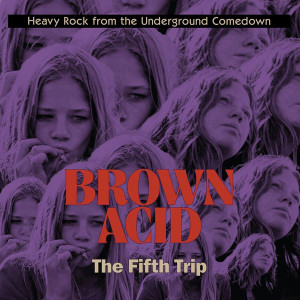 BROWN ACID  - THE FIFTH  TRIP (60S & 70s RARITIES)COMP CD