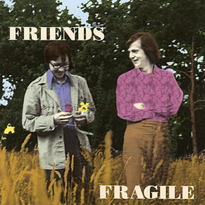 FRIENDS - Fragile (60s soft Psych/Folk) CD FRIENDS - Fragile (60s soft Psych/Folk) CD