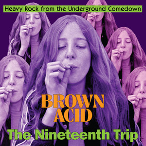 BROWN ACID - THE NINETEENTH TRIP (long-lost vintage '60s-'70s proto-metal and stoner rock) CD BROWN ACID - THE NINETEENTH TRIP (long-lost vintage '60s-'70s proto-metal and stoner rock) CD