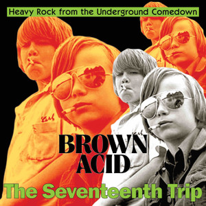 BROWN ACID- The 17th Trip   (long-lost vintage '60s-'70s proto-metal and stoner rock) COMPCD
