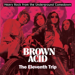 BROWN ACID   -THE 11th  TRIP (HEAVY ROCK FROM THE UNDERGROUND COMEDOWN) COMP CD