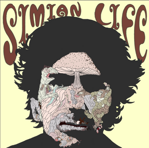 SIMIAN  LIFE-Another Way Down  (Rob Campanella)   45 RPM