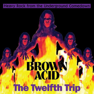 BROWN ACID   -The Twelfth Trip (60s and 70s heavy psych/proto metal tracks)  WHITE VINYL  COMP LP BROWN ACID   -The Twelfth Trip (60s and 70s heavy psych/proto metal tracks)  WHITE VINYL  COMP LP