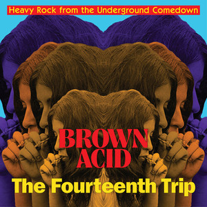 BROWN ACID - THE 14TH TRIP (long-lost vintage '60s-'70s proto-metal and stoner rock) COMP CD BROWN ACID - THE 14TH TRIP (long-lost vintage '60s-'70s proto-metal and stoner rock) COMP CD