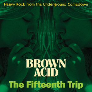 BROWN ACID - The 15th Trip (long-lost vintage '60s-'70s proto-metal and stoner rock) - COMP CD BROWN ACID - The 15th Trip (long-lost vintage '60s-'70s proto-metal and stoner rock) - COMP CD