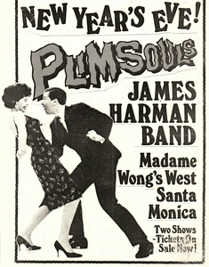 PLIMSOULS -NEW YEARS EVE -   COPY OF FLIER FROM THE  BOMP COLLECTION  !