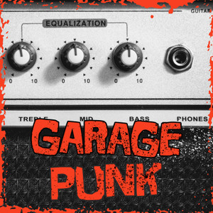 #008 - "GARAGE PUNK" MYSTERY BUNDLE- If you like New Bomb Turks, The Dirtbombs, and The Black Lips!   5 SURPRISE cds for $15  