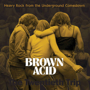 BROWN ACID   - The 20th Trip (long-lost vintage '60s-'70s proto-metal and stoner rock) -  COMP CD