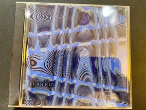 FLOORIAN- What The Buzzing (psychedelic space rock). CD