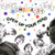 OPEN UP YOUR MIND  - The Psych Pop World of Rembrandt Records  1966-1967- COMP CD