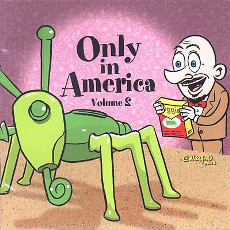 ONLY IN AMERICA Vol 2  (Zany and downright weird  Nixon era period pieces ) COMP CD