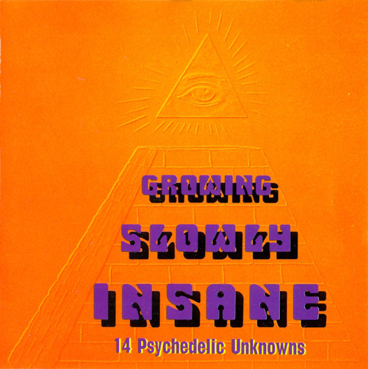 GROWING SLOWLY INSANE -14 PSYCHEDELIC UNKNOWNS   (legendary 60s garage psych)  COMP CD