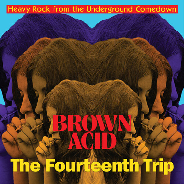 BROWN ACID   - The 14th Trip (long-lost vintage '60s-'70s proto-metal and stoner rock)  COMP CD