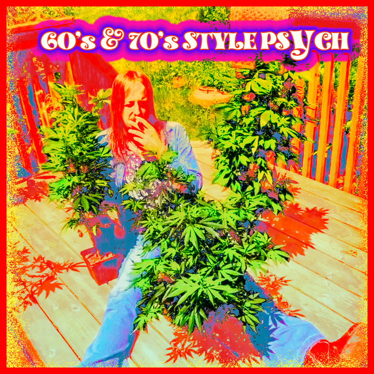 #027 - "60s & 70S STYLE PSYCH"  CD MYSTERY BUNDLE (IYL The Master Apprentices, Humble Pie, Ten Years After, Crazy Horse) 5 SURPRISE CDS FOR $15   CD