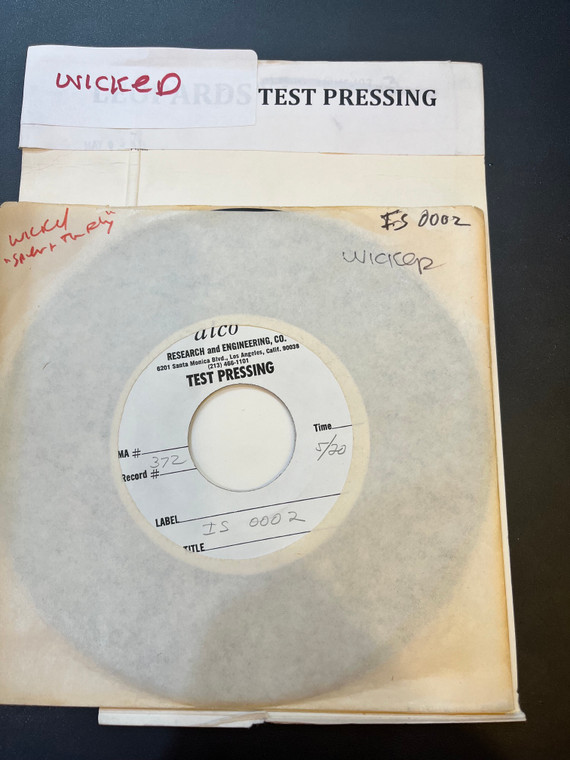 WICKED - This Diamond Ring /  Spider and the Fly  ( 1979 Super rare garage W LENNY KAYE! ) TEST PRESSING 45 RPM