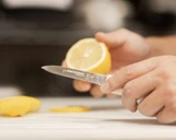S104SC, 15373, 3 ¼" Scalloped Parer next to a hand holding a lemon