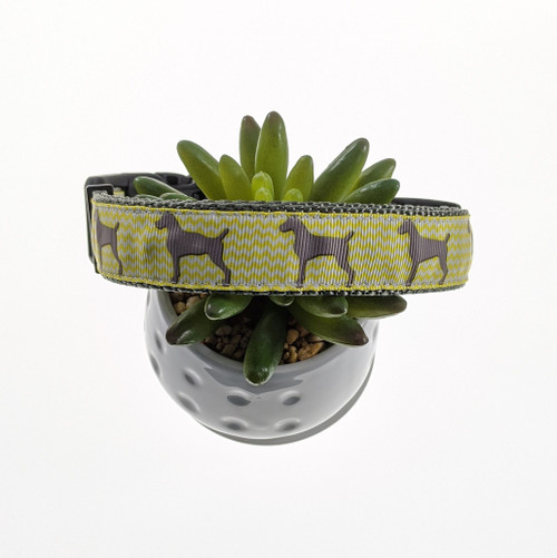 Dogs on Yellow Chevron Dog Collar (Large)