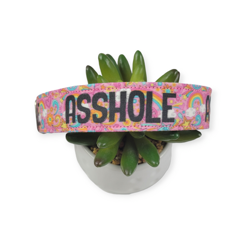 A$$Hole Doodle Dog Collar (Large)