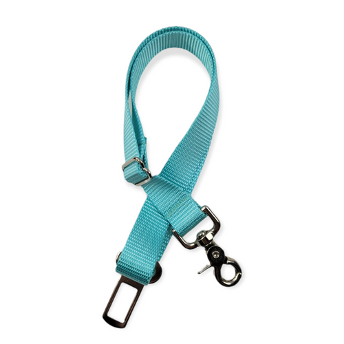 Tiffany Blue Seat Belt (Large)