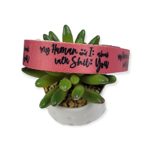 My Human and I Talk Sh!t About You on Pink Dog Collar (Large)