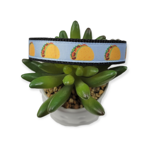 Tacos Dog Collar (Medium)