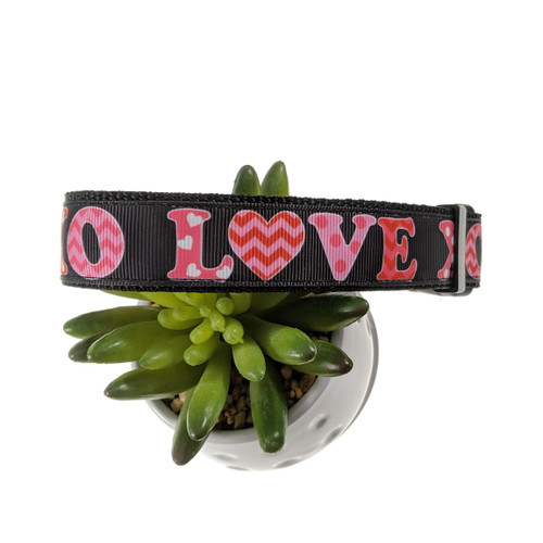 XOXO Dog collar