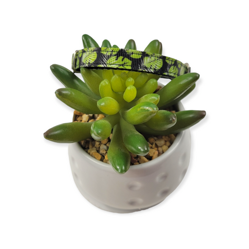 Monstera dog collar (XX-Small)