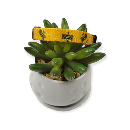 Busy Bee Kitty Collar (X-Small)