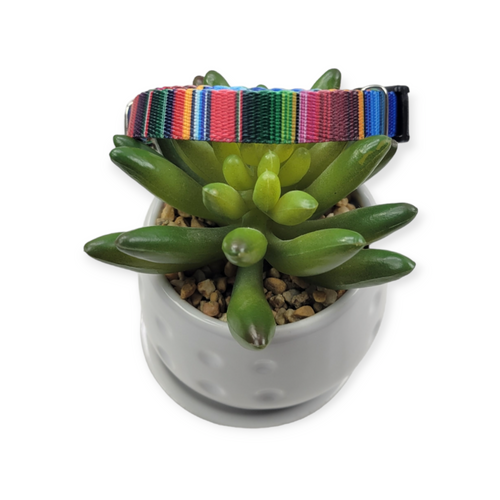 Serape Dog Collar (X-Small)