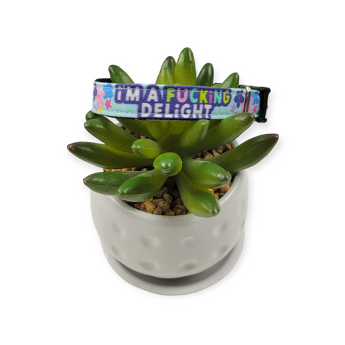 I'm a Delight dog collar  (X-Small)