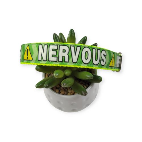 Green Nervous Dog Collar (Large)