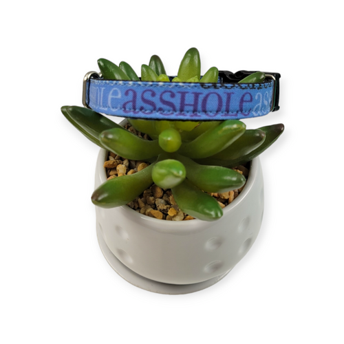 A$$hole on Navy dog collar (X-Small)