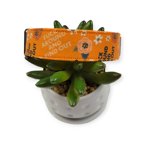 FAFO Orange Floral Dog Collar (Medium)