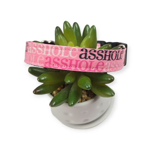 A$$hole on Pink Dog Collar (Medium)