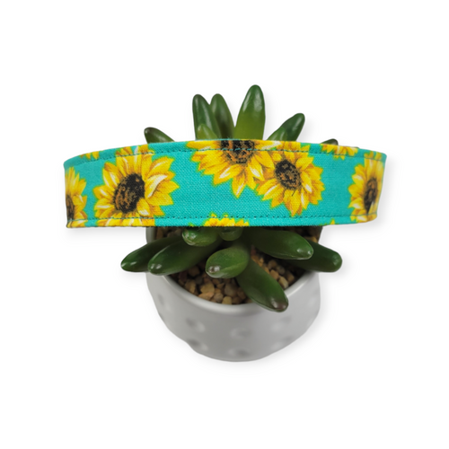 Sunflowers on Aqua Dog Collar (Large)