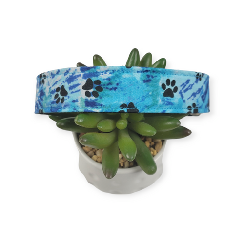 Blue Tie Dye Paws Dog collar (Large)