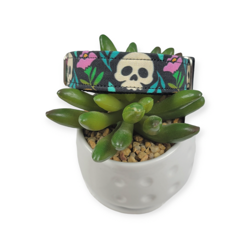 Blooming Skulls Dog collar (Small, 3/4" wide)