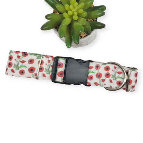 Scarlet Poppy Dog Collar (X-Large)